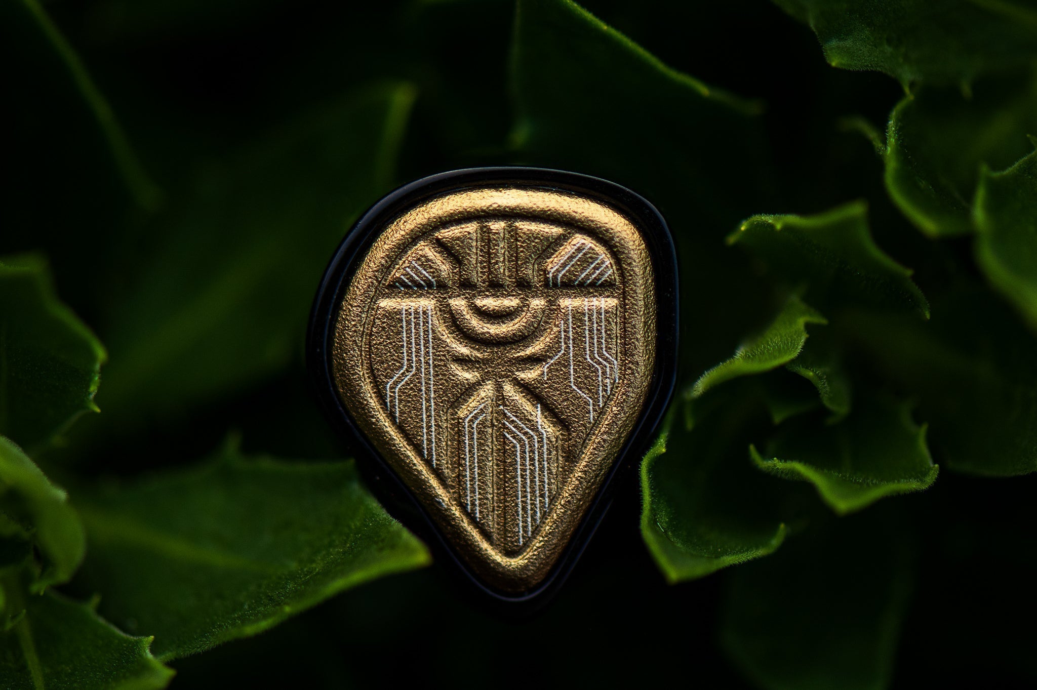 Quill Acoustics Karma First Impressions