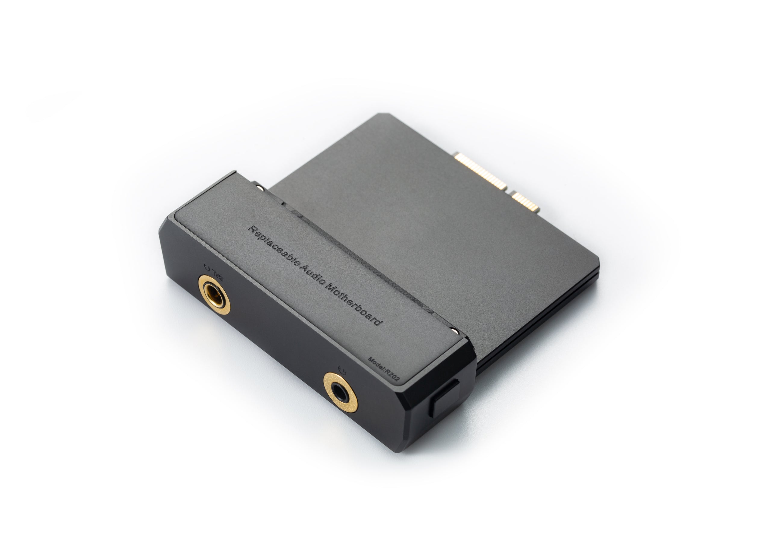 Cayin N6iii Audio Motherboard R202 - MusicTeck