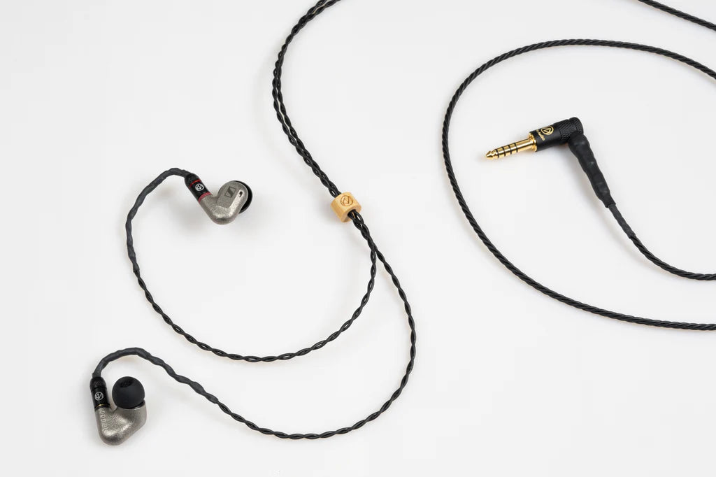 Brise Audio BSEP for IE600, tuned exclusively for Sennheiser IE600 earphones (Built to order)