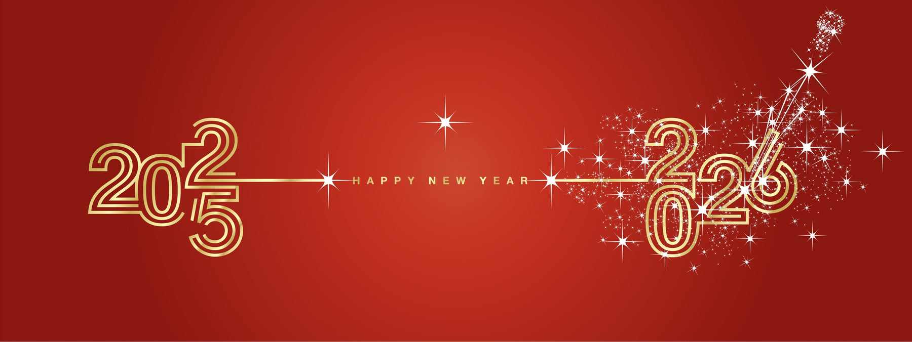 2025 Year-End Summary