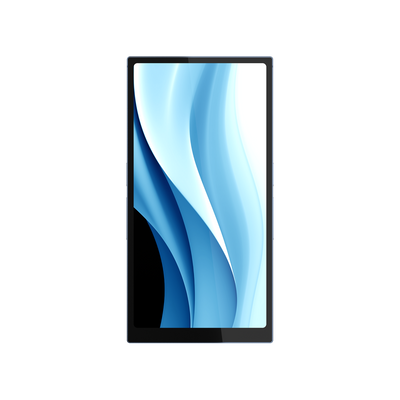 HiBy R6 Pro Max Portable HD Lossless Music Player