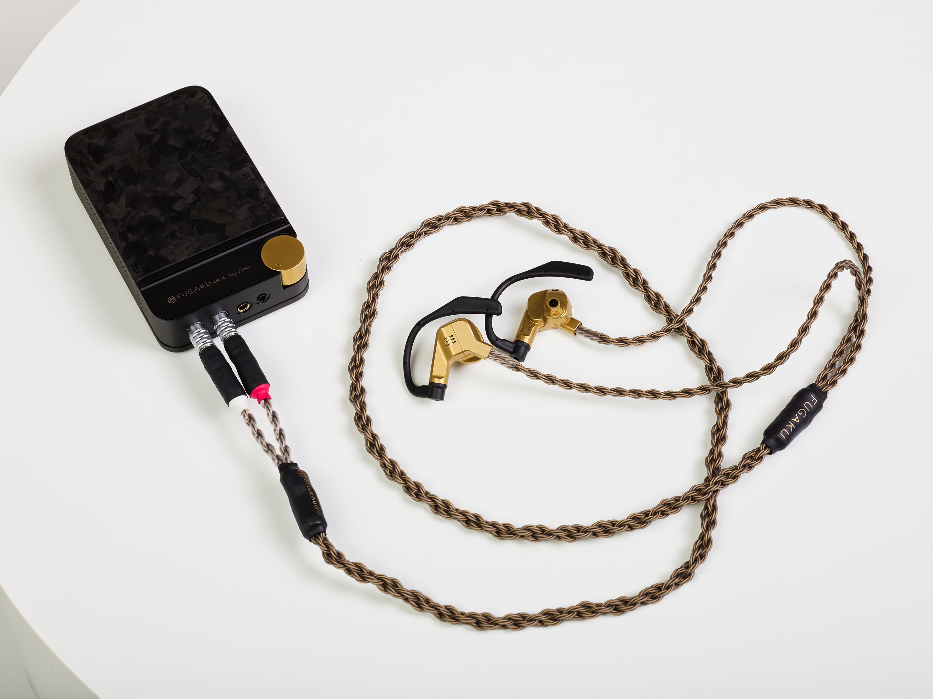 Brise Audio FUGAKU 10th Anniversary Edition - MusicTeck