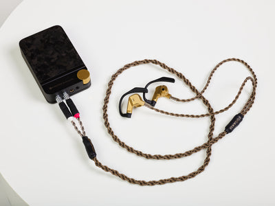 Brise Audio FUGAKU 10th Anniversary Edition - MusicTeck