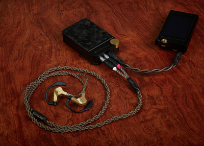 Brise Audio FUGAKU 10th Anniversary Edition - MusicTeck