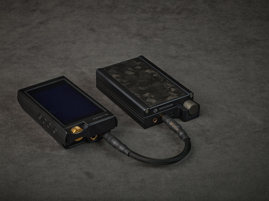 Brise Audio WATATSUMI  Reference Portable Amplifier - MusicTeck