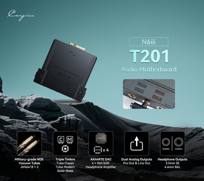 Cayin N6iii Digital Audio Player with Audio Motherboard T201 - MusicTeck 