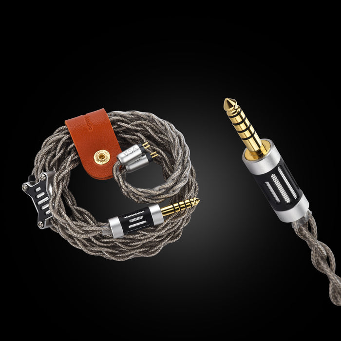 EarAcoustic VSA-PM Crown - MusicTeck