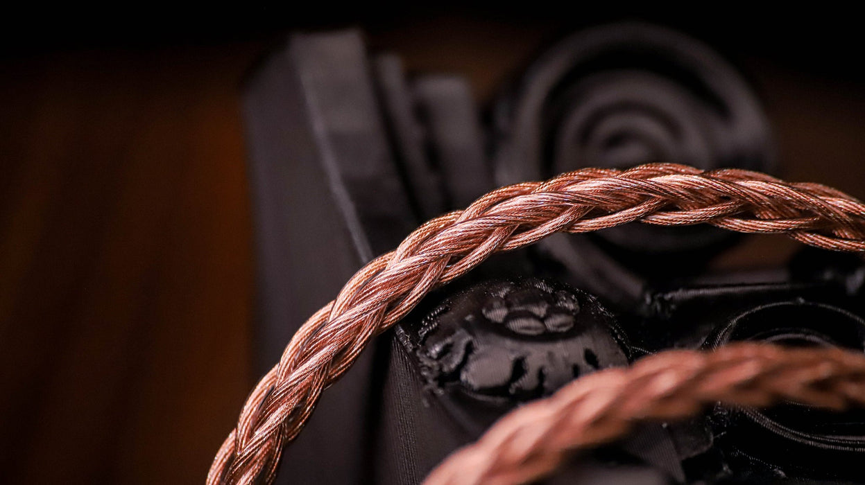 Forte Ears Temptation - MusicTeck