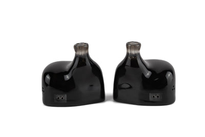 Empire Ears Raven 12 Driver Quadbrid, Dual Conduction Flagship IEMS - musicteck