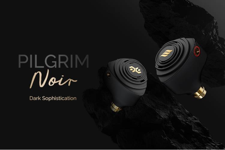 Effect Audio X Elysian Acoustic Labs Pilgrim:Noir - MusicTeck