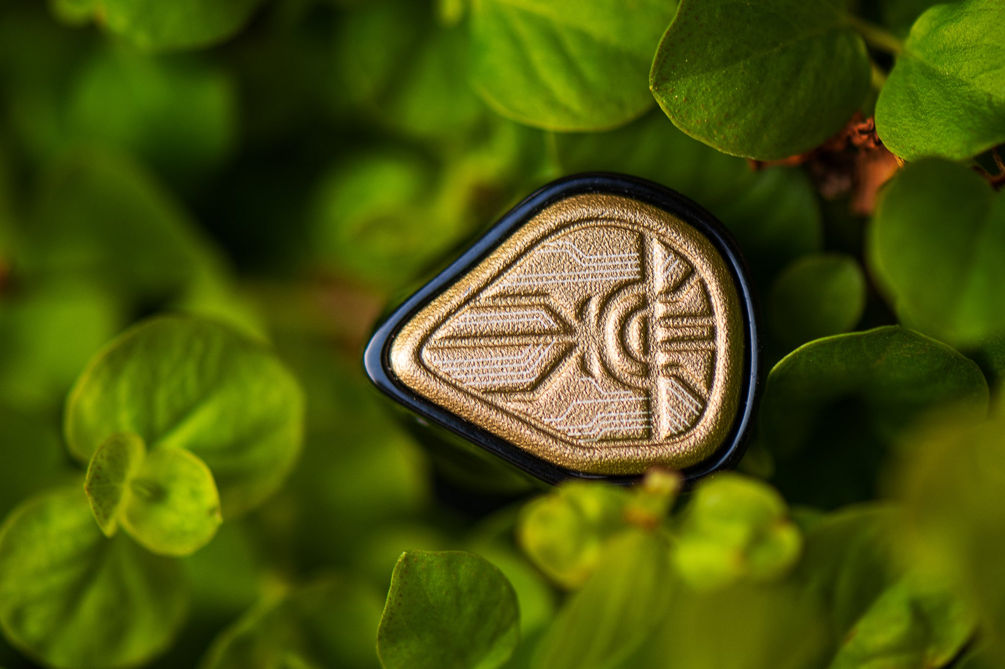 Quill Acoustics Karma - MusicTeck