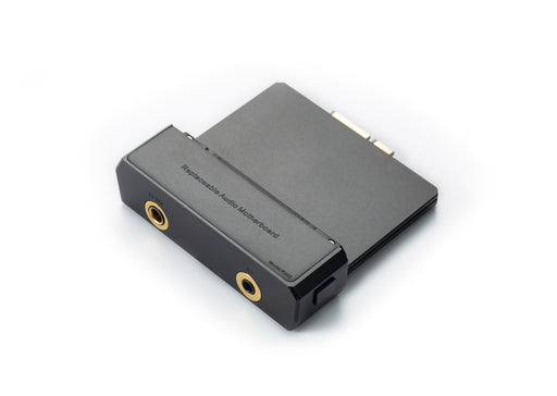 Cayin N6iii Audio Motherboard R202 - MusicTeck