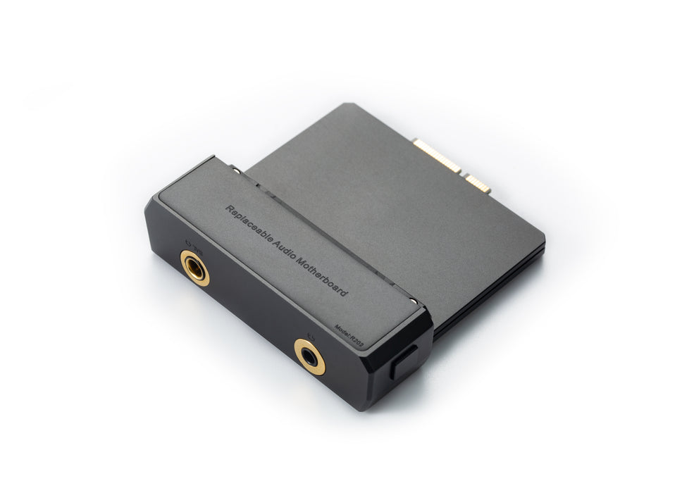 Cayin N6iii Audio Motherboard R202 - MusicTeck