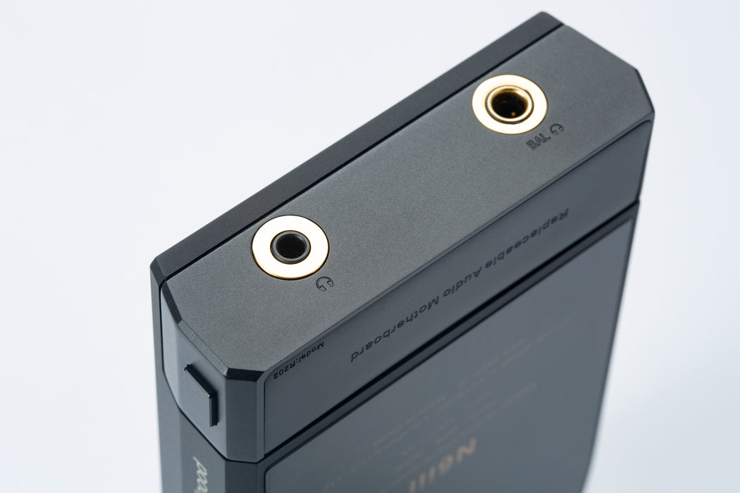 Cayin N6iii Audio Motherboard R202 - MusicTeck