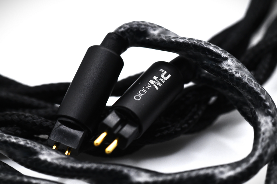 Quill Acoustics InQ Special Edition - MusicTeck