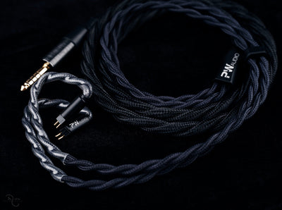 PWAudio First Times with Shielding (Like New)