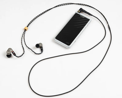 Brise Audio BSEP for IE600, tuned exclusively for Sennheiser IE600 earphones (Built to order)