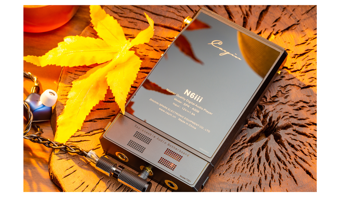 Cayin N6iii Audio Motherboard T201 (in stock)