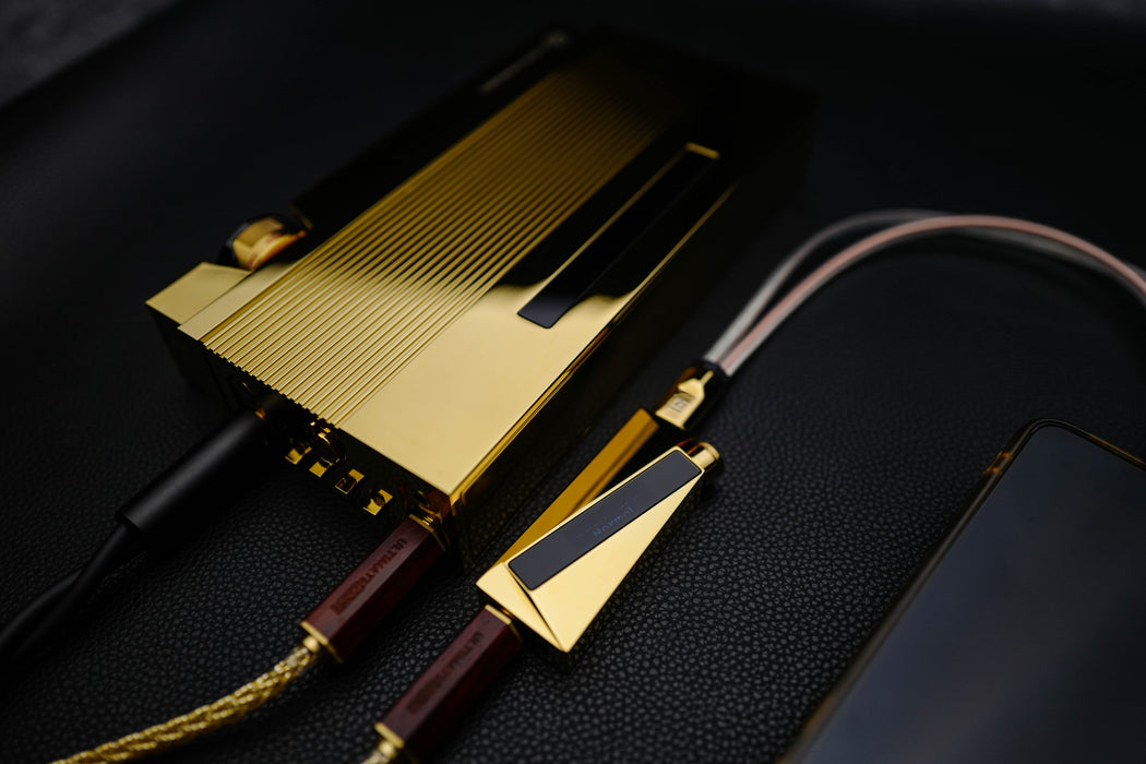 Luxury Precision W4ACG - Portable USB DAC/AMP Headphone AMP (Limited to 499 units, in stock)