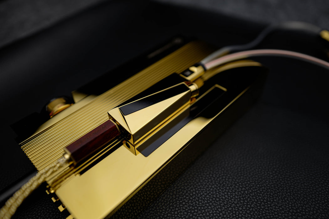 Luxury Precision W4ACG - Portable USB DAC/AMP Headphone AMP (Limited to 499 units, in stock)