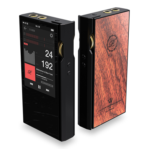 Luxury Precision P6 Pro Advanced Discrete R-2R Portable Audio Player - MusicTeck