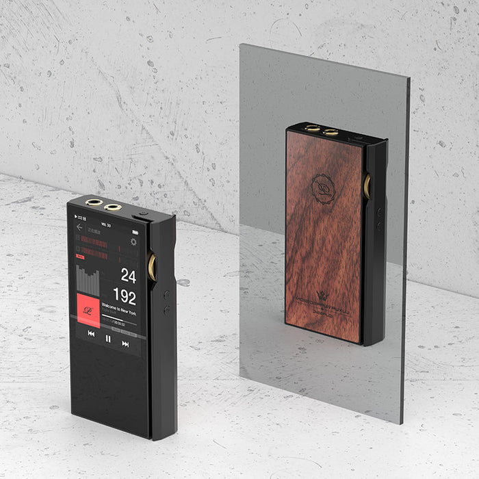 Luxury Precision P6 Pro Advanced Discrete R-2R Portable Audio Player - MusicTeck