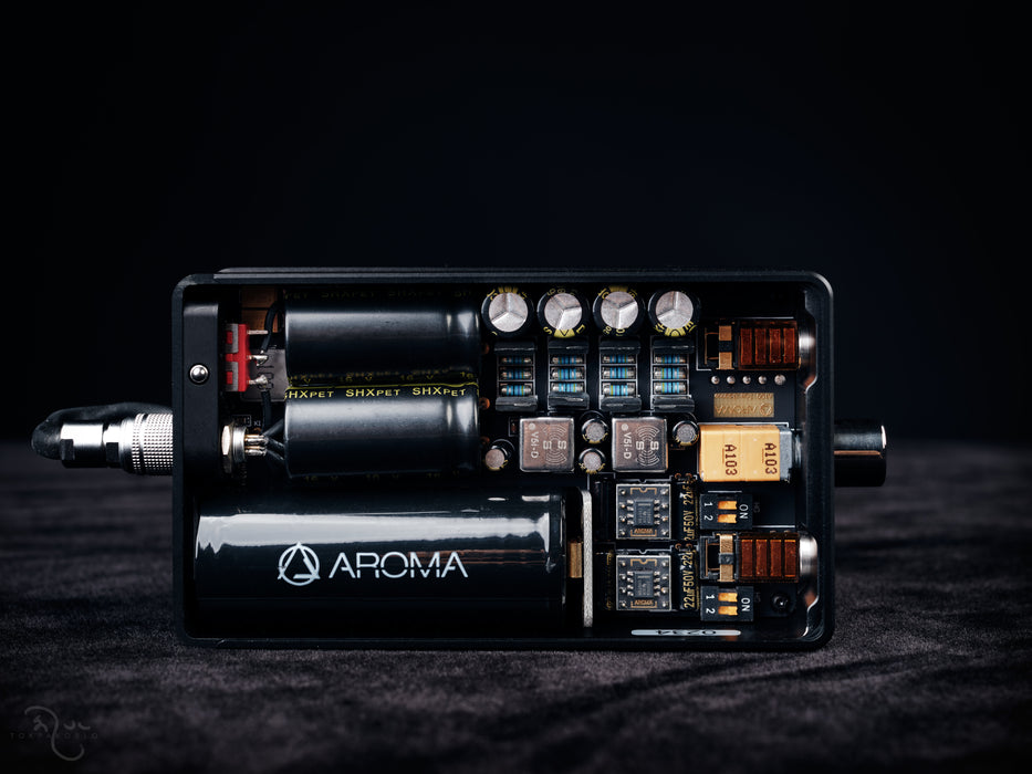Aroma Audio Portable amp - A100TB